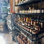 The Trading Point Summer Fair